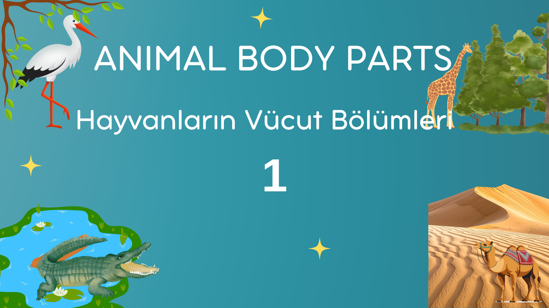 Hayvanlar�n V�cut B�l�mleri  Animal Body Parts