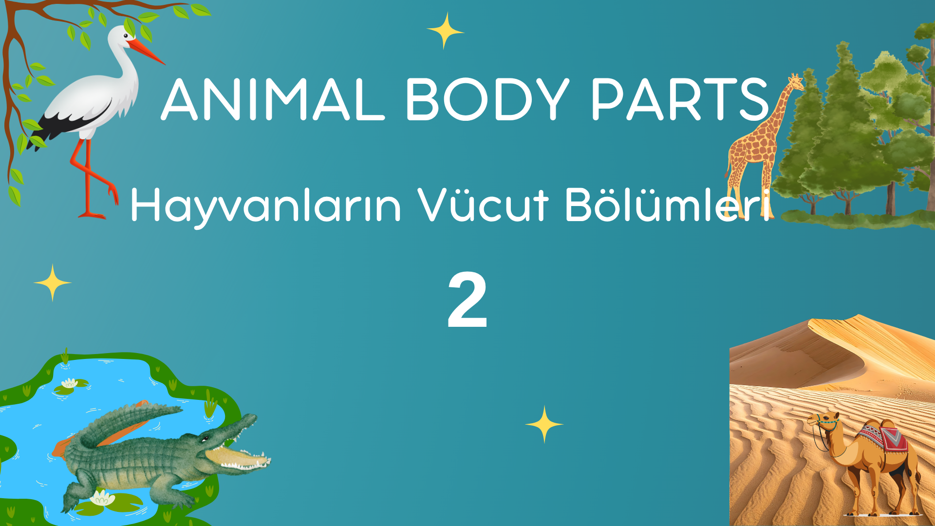 Hayvanlar�n V�cut B�l�mleri  Animal Body Parts